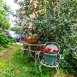 Sophie\'S Garden Apartment